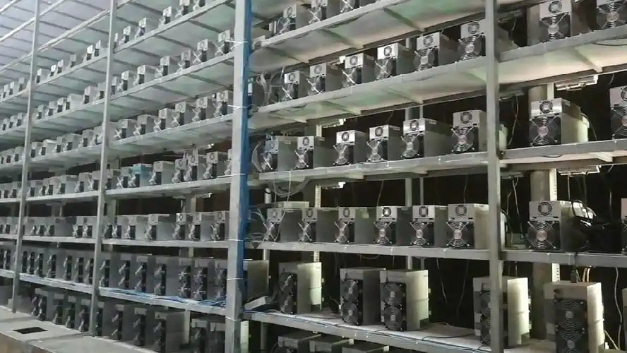 An expansive mining farm showcasing numerous mining machines at work