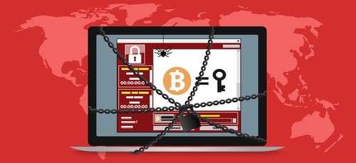 State-of-the-art mining rig setup in a secure facility